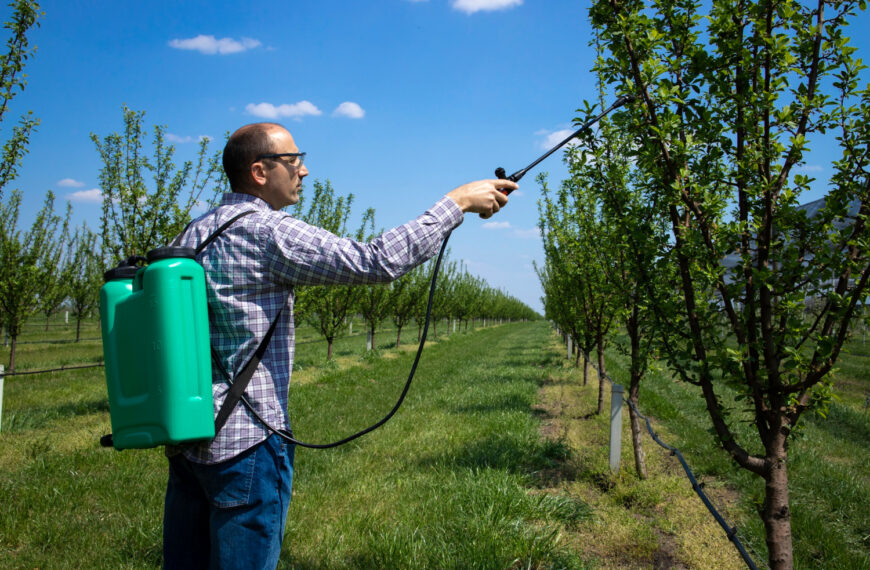 Opryskiwanie w rolnictwie ekologicznym