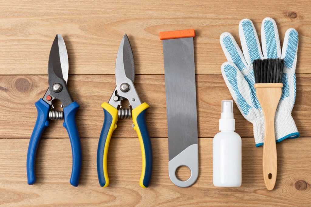 Narzędzia do przycinania jagody kamczackiej