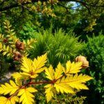 choroby tui zdjęcia